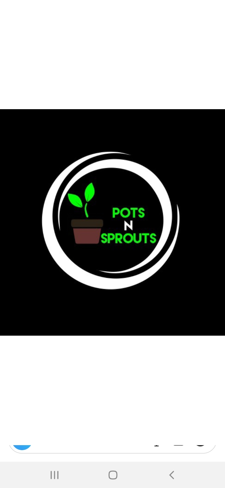 Pots and Sprouts