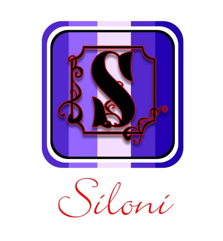 Siloni Haus Ltd