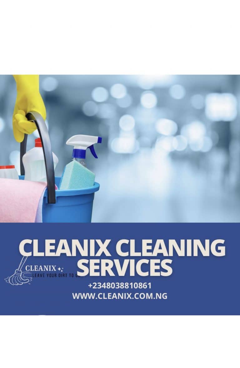 Cleanix cleaning service